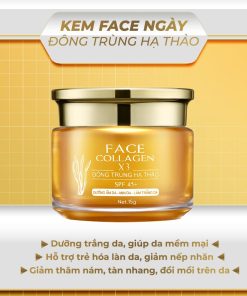 KEM FACE NGÀY – ĐÔNG TRÙNG HẠ THẢO